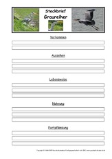 Steckbriefvorlage-Graureiher.pdf